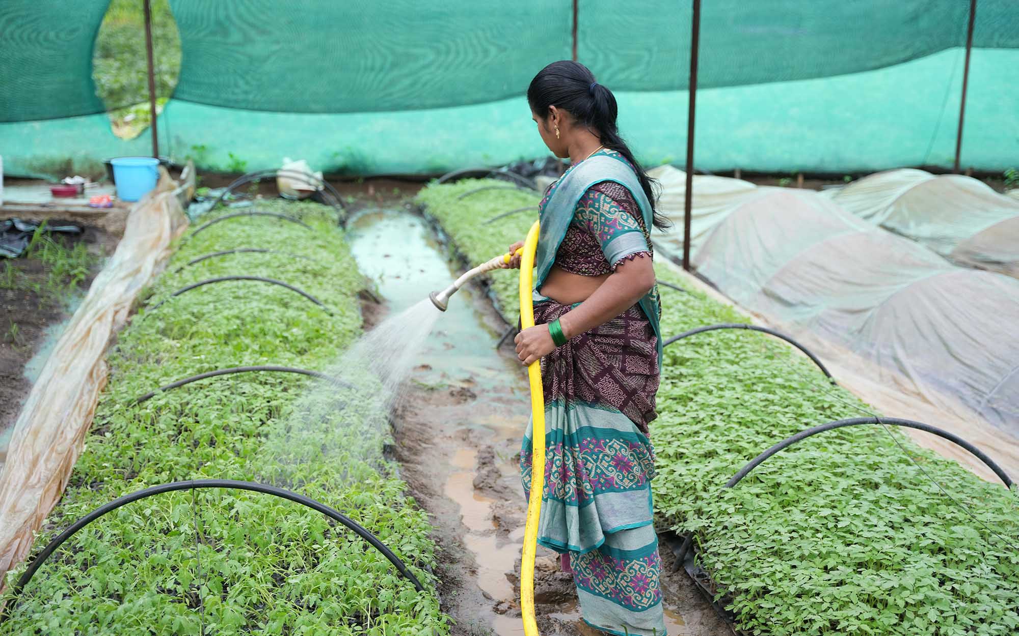 How Skill Development Can Increase Rural Employment